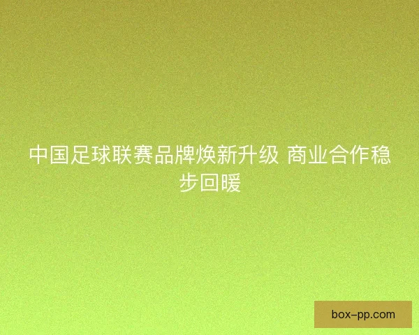 中国足球联赛品牌焕新升级 商业合作稳步回暖